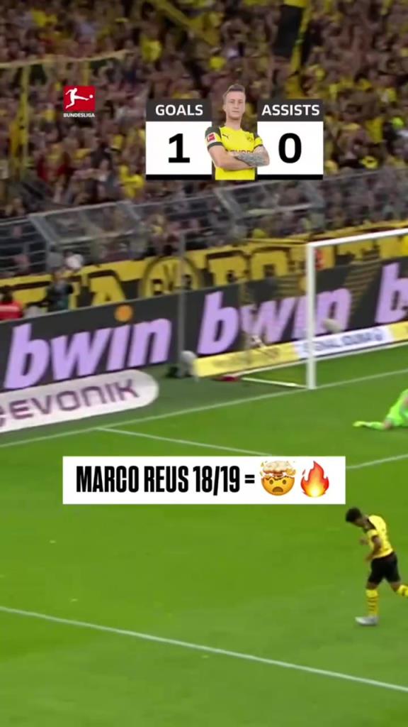 回憶殺！羅伊斯18/19賽季德甲快速回顧！精彩的一個(gè)賽季！