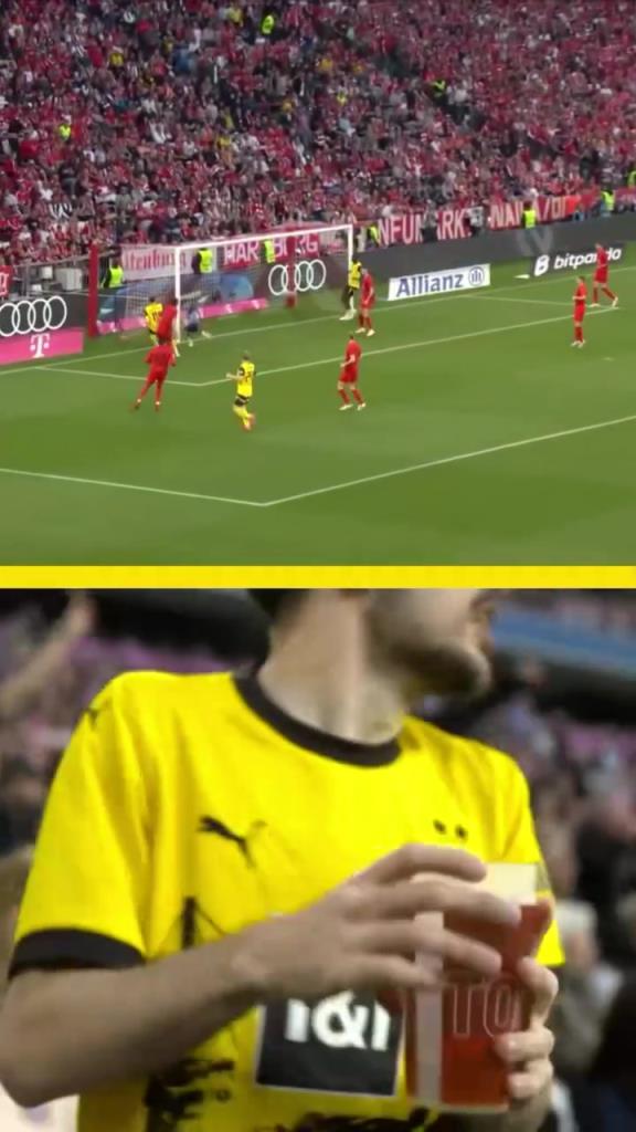 勇者無(wú)懼！這是真多特球迷！在拜仁球迷區(qū)一個(gè)人肆意慶祝！